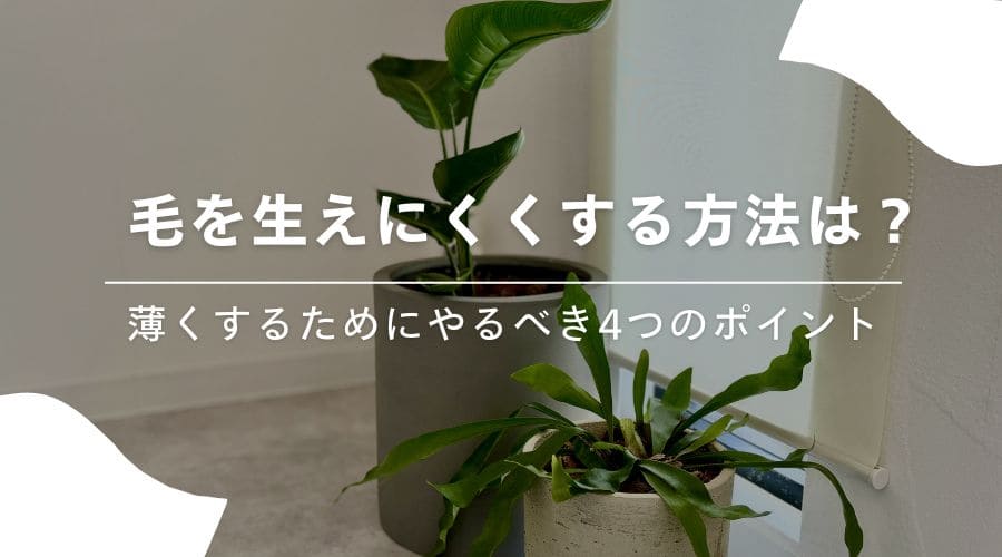 毛を生えにくくする方法はあるの？薄くするためにやるべき4つのポイント